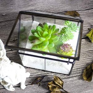 Ferrisland Glass Plant Terrarium Container Wardian Case Indoor Small Succulent Terrarium Planter w/Door for Tabletop Decor DIY Gift - 5.0"x4.3"x4.3"