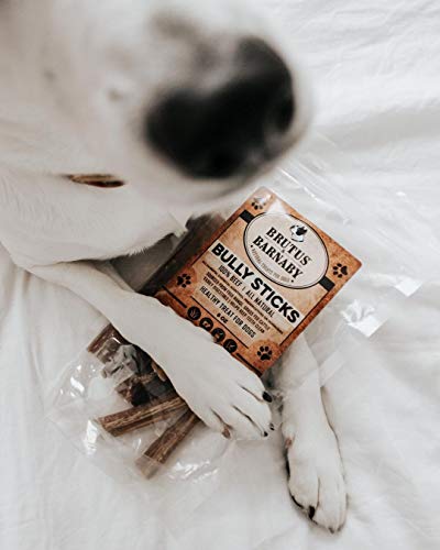 Bully Sticks For Dogs, Low Odor, All Natural Dog Treat - Long Lasting Beef Rawhide Alternative, Bully Stick Chew Sticks Best For Aggressive Chewers, Small, Medium, Large Dogs, Or Teething Puppies