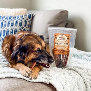 Bully Sticks For Dogs, Low Odor, All Natural Dog Treat - Long Lasting Beef Rawhide Alternative, Bully Stick Chew Sticks Best For Aggressive Chewers, Small, Medium, Large Dogs, Or Teething Puppies