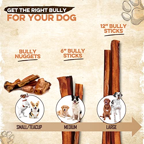 Bully Sticks For Dogs, Low Odor, All Natural Dog Treat - Long Lasting Beef Rawhide Alternative, Bully Stick Chew Sticks Best For Aggressive Chewers, Small, Medium, Large Dogs, Or Teething Puppies