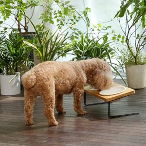 FUKUMARU Elevated Cat Ceramic Bowls, Small Dog 15° Tilted Raised Food Feeding Dishes, Solid Bamboo Water Stand Feeder Set for Cats and Puppy