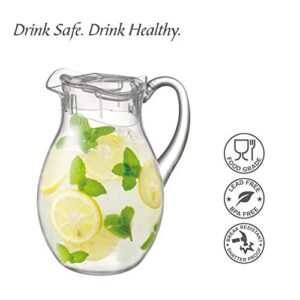 Amazing Abby - Bubbly - Acrylic Pitcher (72 oz), Clear Plastic Water Pitcher with Lid, Fridge Jug, BPA-Free, Shatter-Proof, Great for Iced Tea, Sangria, Lemonade, Juice, Milk, and More