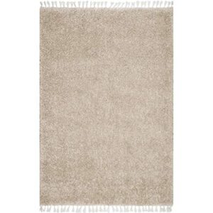 nuLOOM Neva Modern Tasseled Shag Accent Rug, 2' x 3', Beige