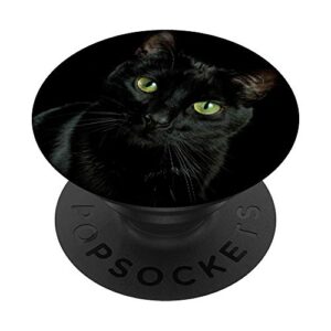 black cat kitten kitty kitten cute animal pet popsockets swappable popgrip