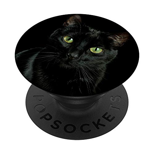 Black Cat Kitten Kitty Kitten Cute Animal Pet PopSockets Swappable PopGrip