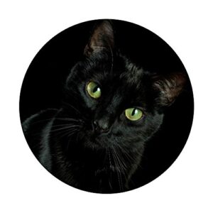 Black Cat Kitten Kitty Kitten Cute Animal Pet PopSockets Swappable PopGrip