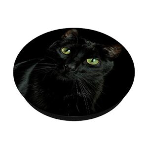 Black Cat Kitten Kitty Kitten Cute Animal Pet PopSockets Swappable PopGrip