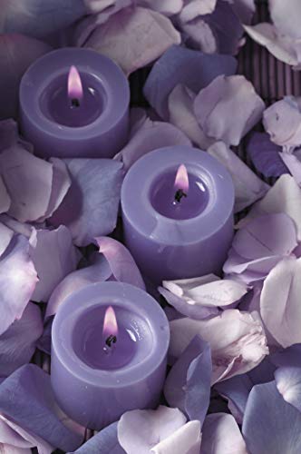 Luxurious Lavender Scented Candles - Bulk Set of 72 Scented Votive Candles - Purple Color - 8 Hour Extended Burn Time (Glass Holders not Included)