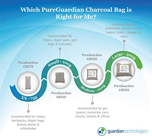 PureGuardian CB500 Bamboo Charcoal 500g Air Purifying Bag Gray / 2-Pack