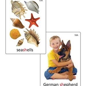 Super Duper Publications | Articulation Photos SH Sound Fun Deck Flash Cards | Educational Learning Resource for Children