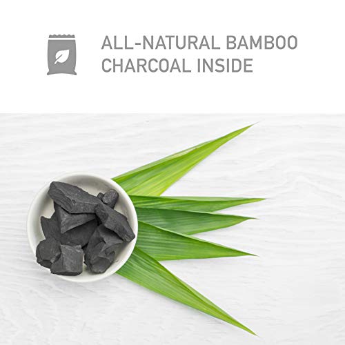 PureGuardian Guardian Technologies Bamboo Charcoal Air Purifier Bag