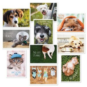 current furry friends get well greeting cards value pack - set of 20, 10 unique designs, large 5 x 7 inch cards, sentiments inside, dogs, cats, pets