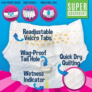 Disposable Dog Female Diapers | 20 Premium Quality Adjustable Pet Wraps with Moisture Control & Wetness Indicator | 20 Count Large Size