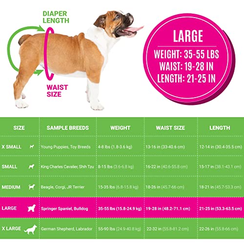 Disposable Dog Female Diapers | 20 Premium Quality Adjustable Pet Wraps with Moisture Control & Wetness Indicator | 20 Count Large Size