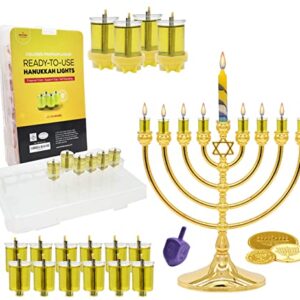 Hanukkah Pre-Filled Olive Oil Glass Cup Candles, 2.5 Hours, 100 Percent Olive Oil Pre-Filled Ready to Use - 44 Cups for All 8 Nights of Hanukkah