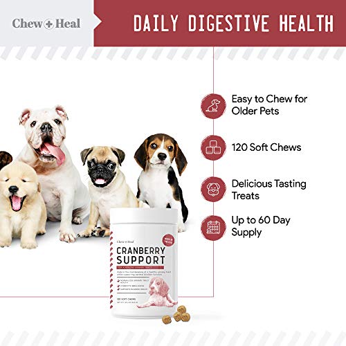 Chew + Heal UTI Treatment Cranberry Chews for Dogs - 120 Soft Chews - Supports Healthy Urinary Tract and Bladder Function - Corrects Imbalances - with Echinacea and Vitamin C