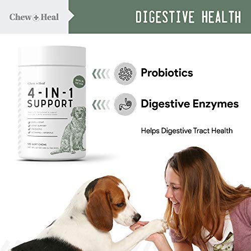 Chew + Heal All in 1 Dog Vitamin - 120 Soft Chew Treats - Chewable Multivitamin with Probiotics, Digestive Enzymes, for Skin and Coat, Hip and Joint Support - with Omega, Calcium - Made in The USA