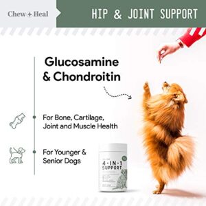 Chew + Heal All in 1 Dog Vitamin - 120 Soft Chew Treats - Chewable Multivitamin with Probiotics, Digestive Enzymes, for Skin and Coat, Hip and Joint Support - with Omega, Calcium - Made in The USA