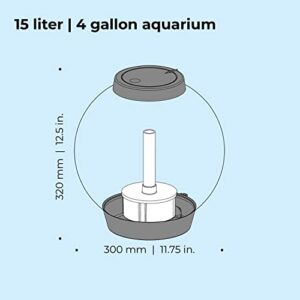 Classic 15 Aquarium with Standard Light - 4 Gallon, Silver