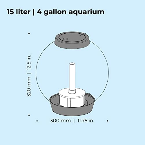 Classic 15 Aquarium with Standard Light - 4 Gallon, Silver