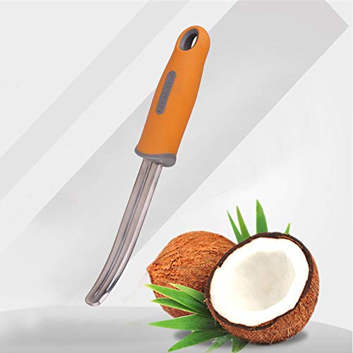 BAMI-LEE House 2 piece Coconut Meat Remover Durable Non-slip Silicone Handle Stainless Steel Coconut Tool