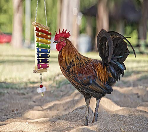 Vehomy Chicken Xylophone Toy for Hens Suspensible Wood Xylophone Toy with 8 Metal Keys Chicken Coop Pecking Toy with Grinding Stone (Rainbow Color)