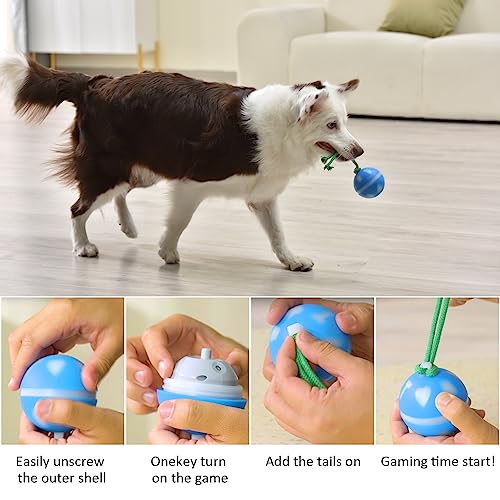 BENTOPAL Interactive Dog Toy Wicked Ball for Indoor Cats/Dogs with Motion Activated/USB Rechargeable