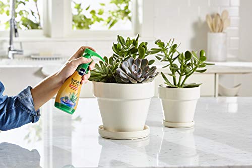 Miracle-Gro Succulent Plant Food, 8 oz., For Succulents including Cacti, Jade, And Aloe, 2 count (Pack of 1)