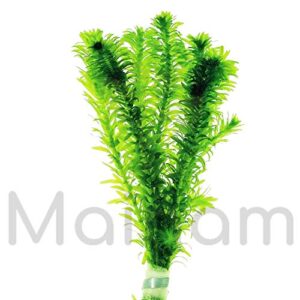 Mainam 1 Hornwort Bunch + 3 Anacharis Freshcut for Pond Live Aquarium Plant Tropical Oxygenating