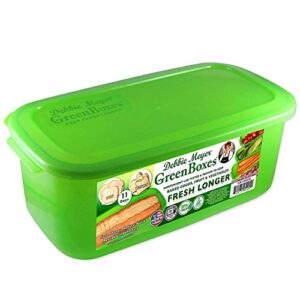 debbie meyer greenboxes – breadbox keeps baked goods, snacks, fruits, and vegetables fresh longer, reusable, bpa free, made in usa