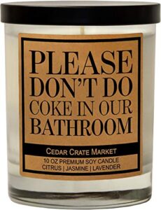 please don't do coke in our bathroom - funny candles for women, men, candles for bathroom, fun decorative, scented, funny gifts for girlfriend, best friend, man, friendship, birthday gifts for friends