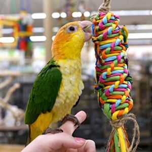 Rainbow Weave Shreddable Parrot Toy (Choose a Size) (Large)