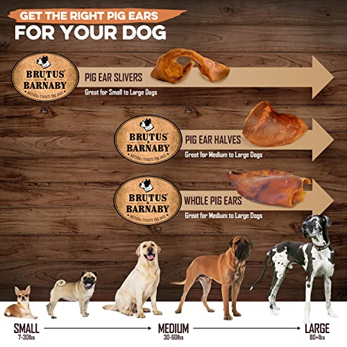 BRUTUS & BARNABY Pig Ear Slivers - Thick Cut, All Natural Dog Treat, Healthy Pure Pork Ear, Easily Digested, Best Gift for Large & Small Dogs (1 lb)