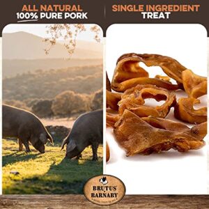 BRUTUS & BARNABY Pig Ear Slivers - Thick Cut, All Natural Dog Treat, Healthy Pure Pork Ear, Easily Digested, Best Gift for Large & Small Dogs (1 lb)