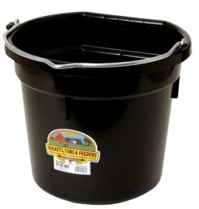 plastic animal feed bucket (black) - little giant - flat back plastic feed bucket with metal handle (20 quarts / 5 gallons) (item no. p20fbblack6)