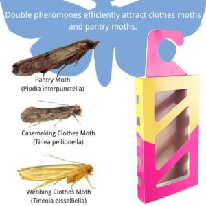 ShengKou - Effective and Refillable Dual Moth Pheromone Traps, Ultimate Solution to Clothes & Pantry Moth Control -4 Pack