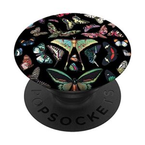 colorful butterfly collection vintage illustration papillons popsockets grip and stand for phones and tablets