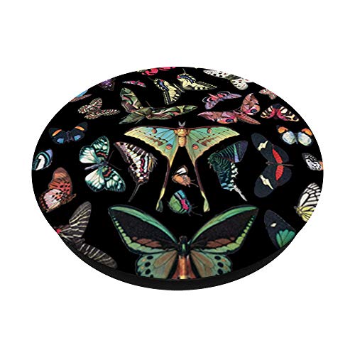 Colorful Butterfly Collection Vintage Illustration Papillons PopSockets Grip and Stand for Phones and Tablets