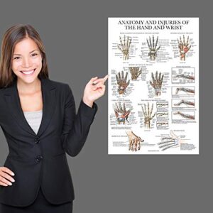 Laminated Anatomy and Injuries of the Hand and Wrist Poster - Hand and Wrist Joint Anatomical Chart - 18" x 24"