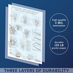 Laminated Anatomy and Injuries of the Hand and Wrist Poster - Hand and Wrist Joint Anatomical Chart - 18" x 24"