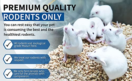 MiceDirect Frozen Large Adult Feeder Mice Food for Adult Ball Pythons Juvenile Red Tale Boa Monitors Lizards (50 Count)