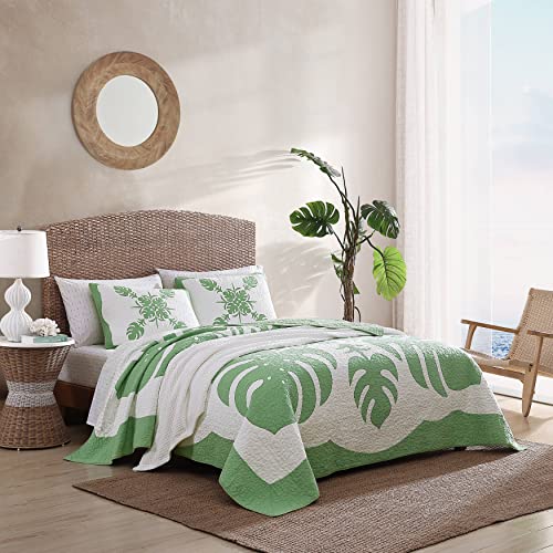 Tommy Bahama - King Quilt, Reversible Cotton Bedding, Lightweight Home Decor for All Seasons (Molokai Mint Green, King)