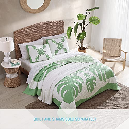 Tommy Bahama - King Quilt, Reversible Cotton Bedding, Lightweight Home Decor for All Seasons (Molokai Mint Green, King)