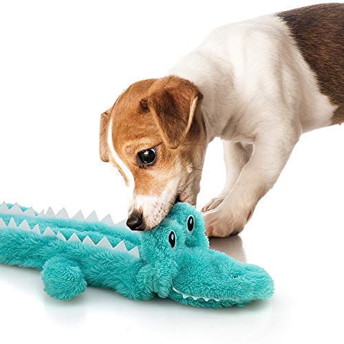 AWOOF Dog Toys No Stuffing, 5 Pack Dog Squeaky Toys Durable Dog Chew Toy Set for Puppy Small Medium Large Dog