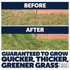 Pennington Lawn Booster Tall Fescue Mix Grass Seed & Fertilizer 9.6 lb