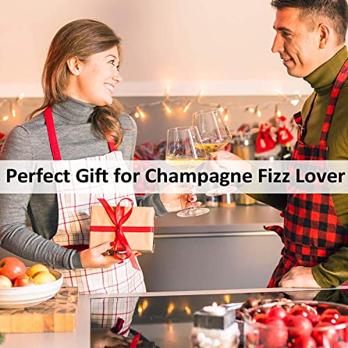 HYZ Champagne Stoppers Wine Saver 2-Pack, Wine Vaccum Stoppers with Built-in Pump for Champagne, Prosecco and Cava - Sparkling Wine Stopper Black - Stainless Steel + ABS Champagne Bottle Stoppers