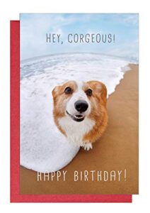 maplelon corgi birthday card, corgeous dog bday card for husband boyfriend friend corgi lover, funny card