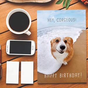 Maplelon Corgi Birthday Card, Corgeous Dog Bday Card for Husband Boyfriend Friend Corgi Lover, Funny Card