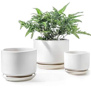 le tauci ceramic plant pots, 4.3+5.3+6.8 inch, set of 3, planters with drainage hole and saucer, indoor flower pot with hole mesh pad, gifts for mom, white