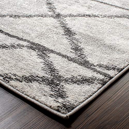 SUPERIOR Aneela Indoor Area Rug